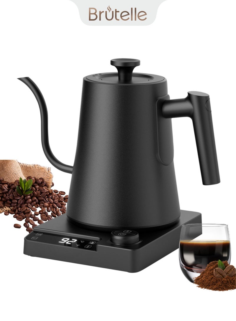 بريتيل غلاية كهربائية ذات عنق معقوف مع إعدادات مسبقة للتحكم في درجة الحرارة سعة 1000 مل بقوة 1200 واط غليان سريع خاصية الحفاظ على الحرارة تلقائيًا حماية أمان مصنوعة من الفولاذ المقاوم للصدأ مثالية للمنزل والمكتب وركن القهوة - Image 1